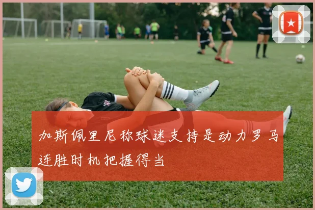 加斯佩里尼称球迷支持是动力罗马连胜时机把握得当
