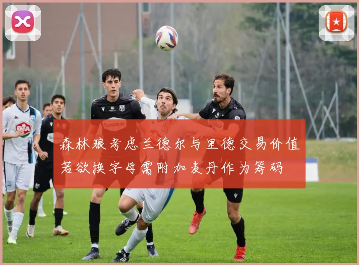 森林狼考虑兰德尔与里德交易价值若欲换字母需附加麦丹作为筹码