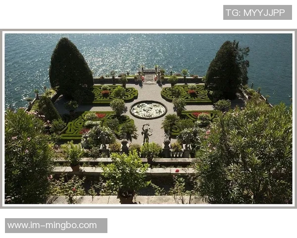 塞尔塔总监透露与迈阿密国际在阿连德身价上的巨大差异